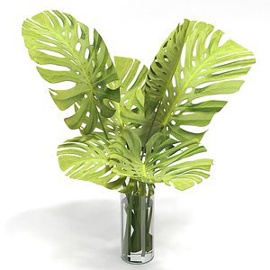 Flower Pack 246c model