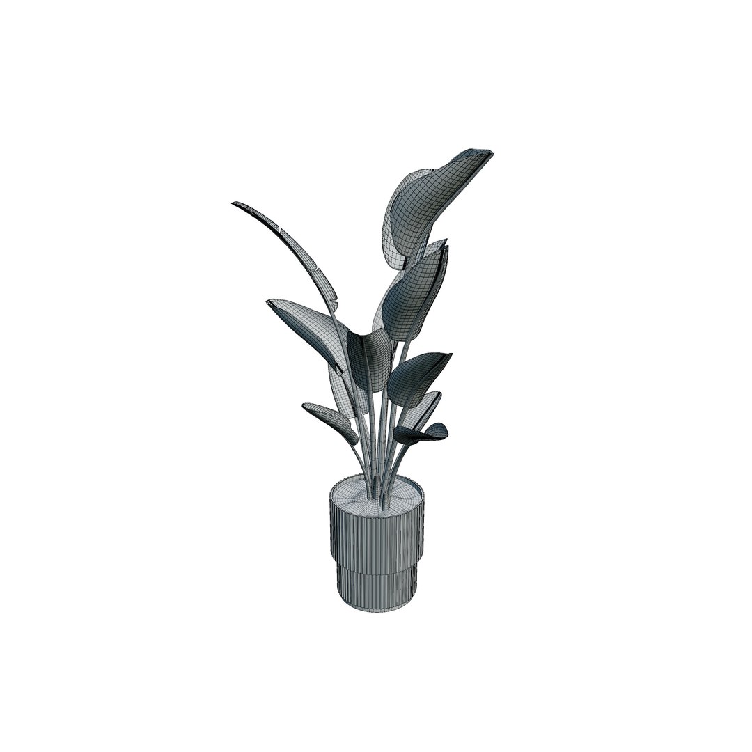 3D Strelitzia indoor plants https://p.turbosquid.com/ts-thumb/Rt/HnLmfh/nS/009png/jpg/1746985132/1920x1080/fit_q87/3325ca52faba02c970a32eab97b7d6a323451d5a/009png.jpg