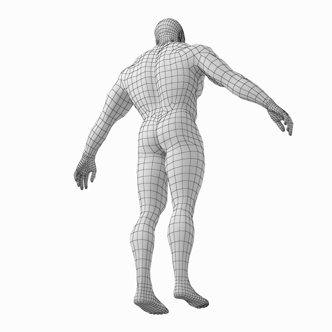 Human Male Bodybuilder Body 3D Model - TurboSquid 1456392