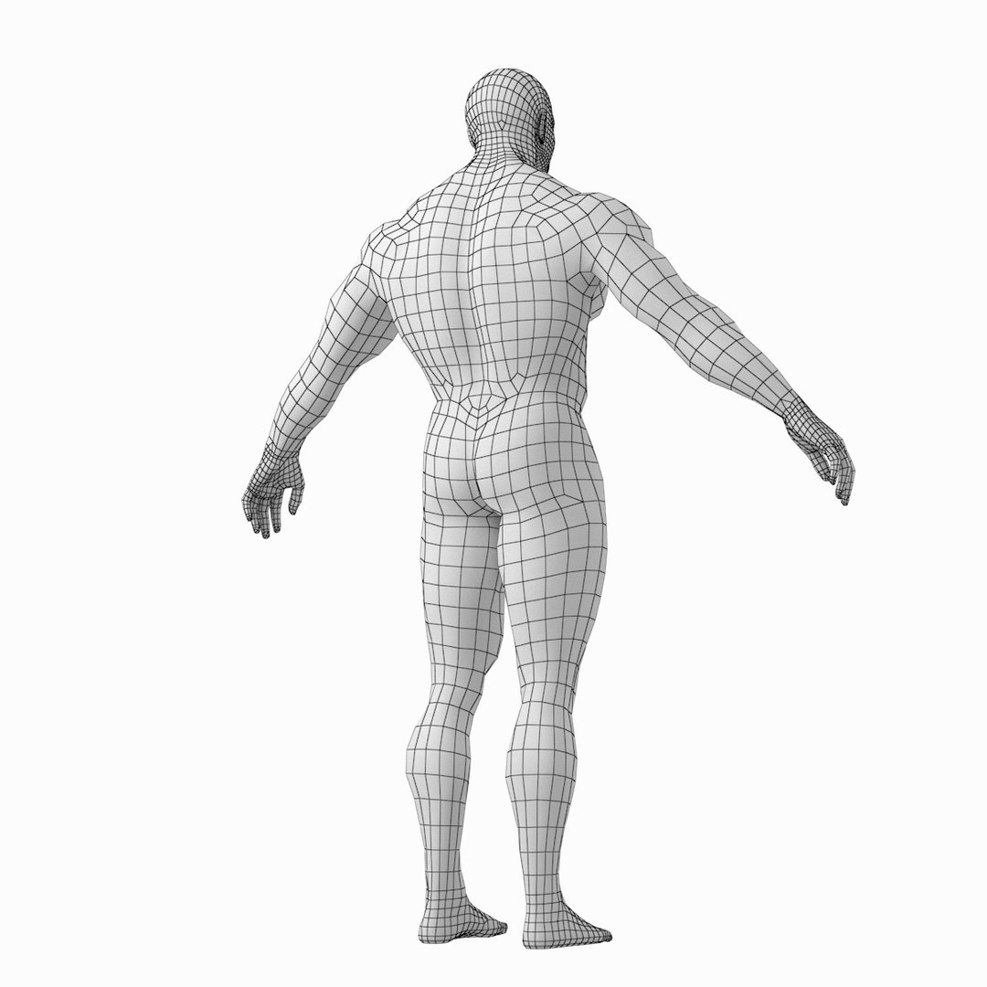 Human Male Bodybuilder Body 3D Model - TurboSquid 1456392