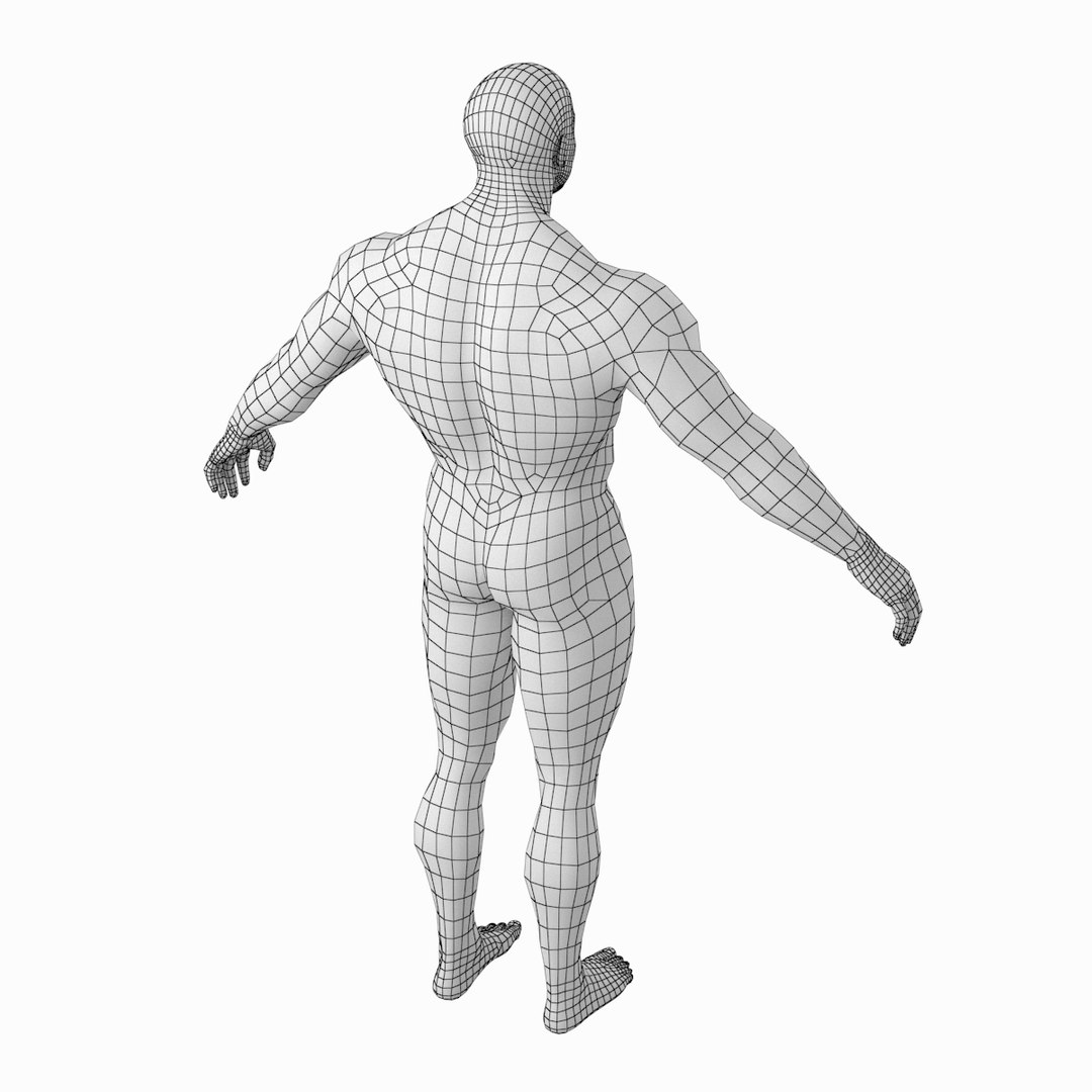 Human Male Bodybuilder Body 3D Model - TurboSquid 1456392