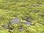 Iceland Terrain Ground