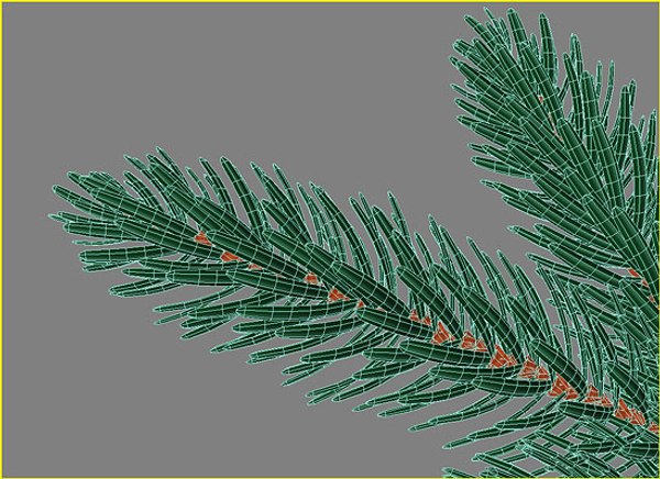 3d model of branch fir