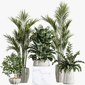 AV Indoor Plants Set 361 Zamiifolia and Areca Palm and Bird Of Paradise and Briful Pachira model