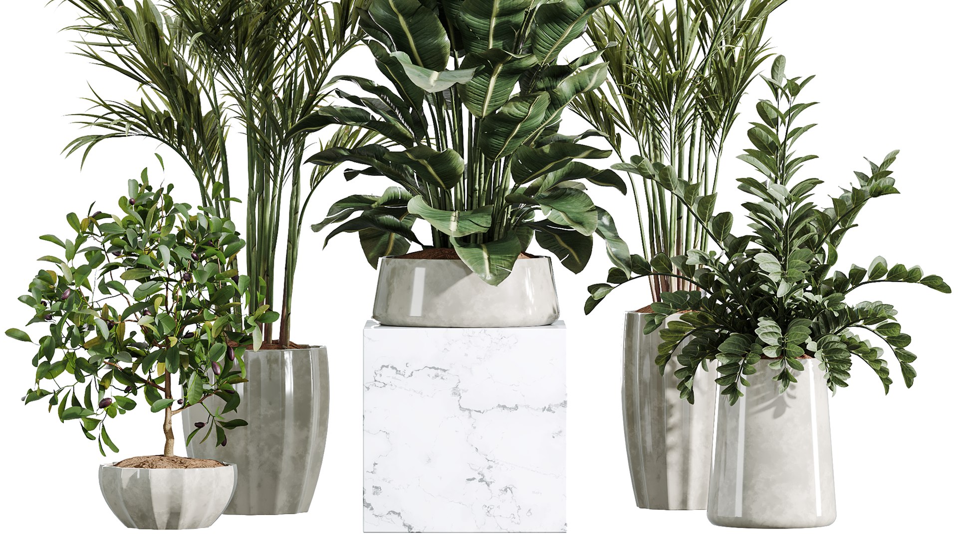 AV Indoor Plants Set 361 Zamiifolia and Areca Palm and Bird Of Paradise and Briful Pachira model https://p.turbosquid.com/ts-thumb/Rt/yevL9f/gm/06/png/1758782590/1920x1080/fit_q87/3f6f54dd675db622985264180c84c1f4df0a11b3/06.jpg