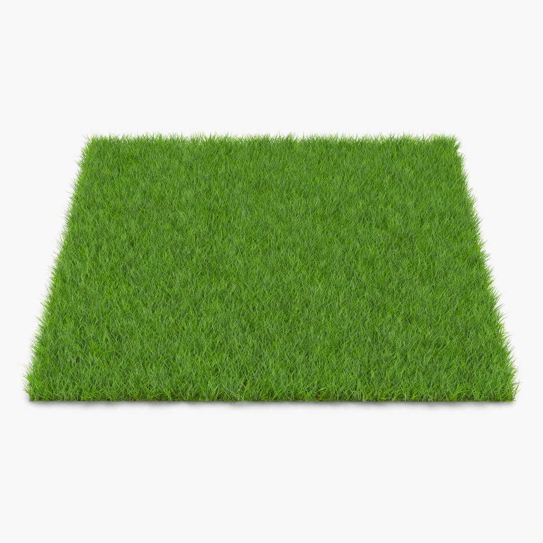Fescue Grass 3D model preview