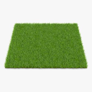 3d fescue grass model