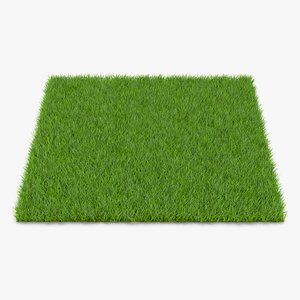 Fescue Grass