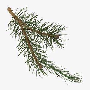 3d model of pine tree 03
