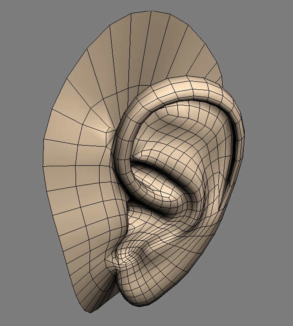 3ds max realistic ear head https://p.turbosquid.com/ts-thumb/Ru/62cwp7/5EnDyACB/ea01/jpg/1276095763/1920x1080/fit_q87/192f09e921a06e7a64ae340e45caef7b824ee5da/ea01.jpg
