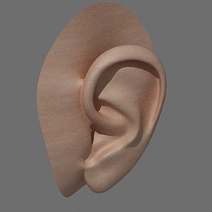 3ds max realistic ear head