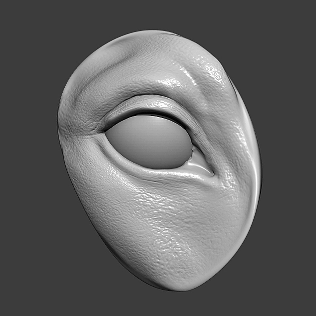 3D model Dog Eye Socket Highpoly Sculpt TurboSquid 1807847