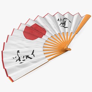 Traditional Japanese Fan
