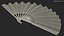 Traditional Japanese Fan