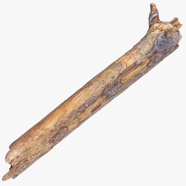broken_wooden_stick_01_square_0000.jpg