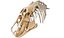 3D Prehistoric dinosaurs bones