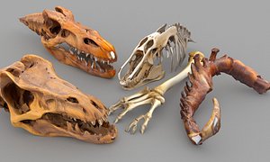 3D Prehistoric dinosaurs bones