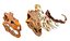 3D Prehistoric dinosaurs bones