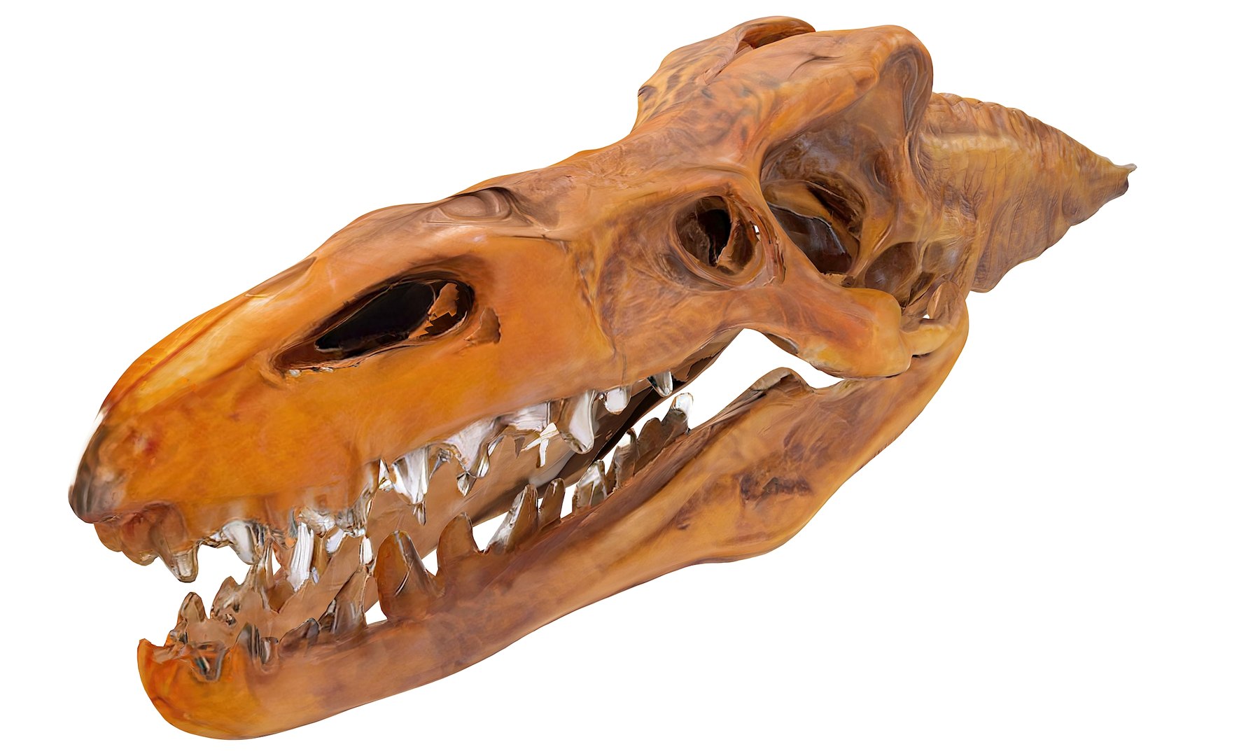 3D Prehistoric dinosaurs bones https://p.turbosquid.com/ts-thumb/Ru/J8hxfo/U4/11/jpg/1730127920/1920x1080/fit_q87/ce6dc59a616c27ad130ee45e9e31516cfeb0bc27/11.jpg