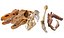 3D Prehistoric dinosaurs bones