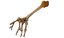3D Prehistoric dinosaurs bones