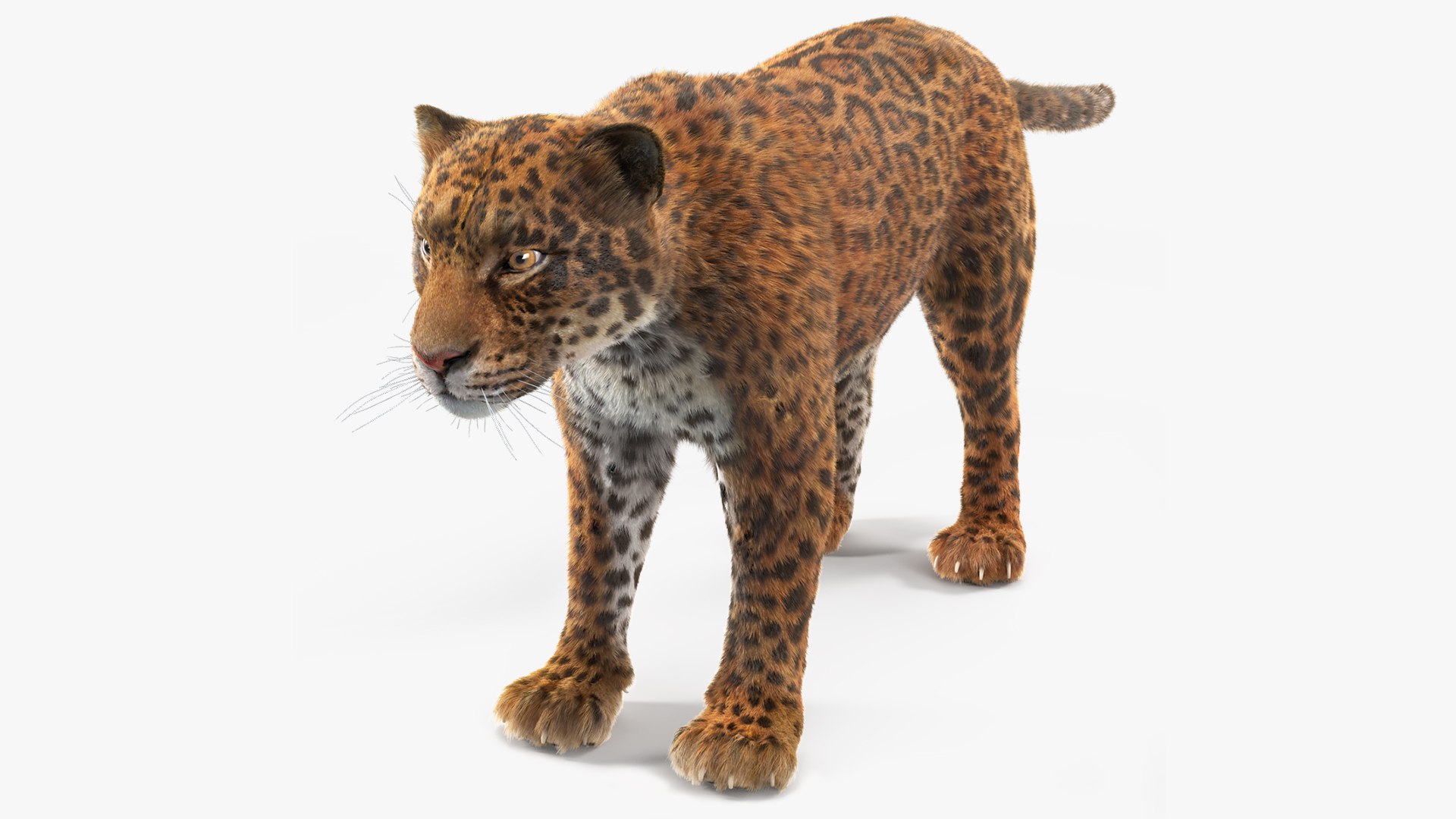 Jaguar Fur 3D model preview