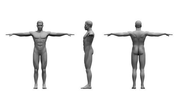 african american human body 3D model