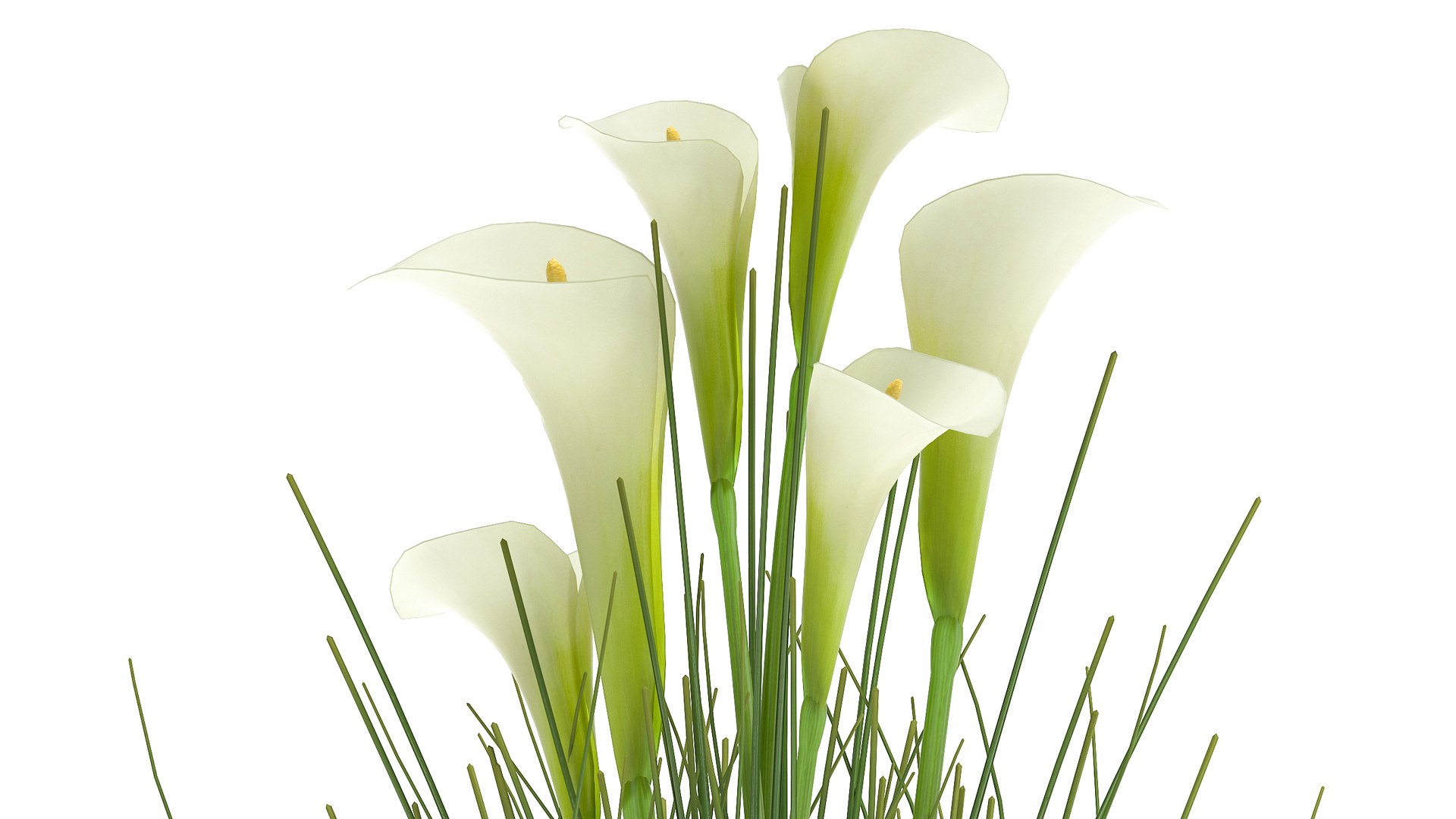 3D model Flower bouquet in a Vase 115 https://p.turbosquid.com/ts-thumb/Ru/YMfn4z/wi/1flowers2204202105/jpg/1619179338/1920x1080/fit_q87/2592f2c4b6e0d75ad994d6c166f5bdb51921891f/1flowers2204202105.jpg