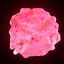 T Lymphocytes