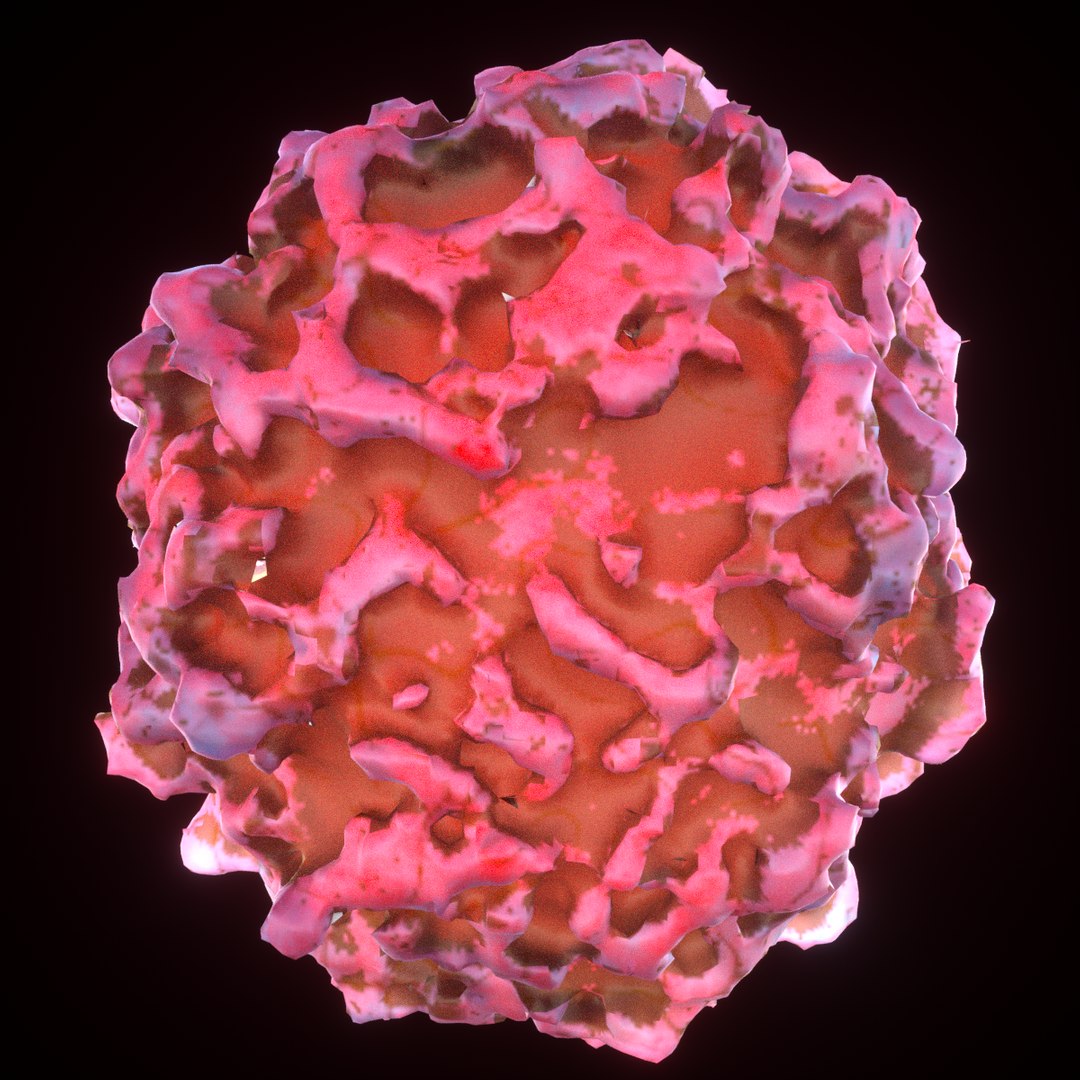 3D t lymphocytes model https://p.turbosquid.com/ts-thumb/Ru/aut10v/L6hobM5z/10/png/1552841527/1920x1080/fit_q87/bfa6c270ca2586941b18f132333848cb84da694c/10.jpg