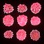 T Lymphocytes