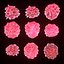 T Lymphocytes