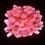 T Lymphocytes
