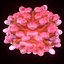 T Lymphocytes