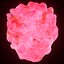 T Lymphocytes