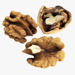 3D Walnut peeled