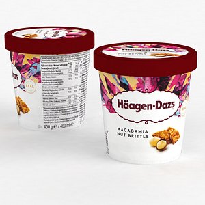 3D Ice Cream Haagen Dazs Macadamia Nut Brittle 400g 2022
