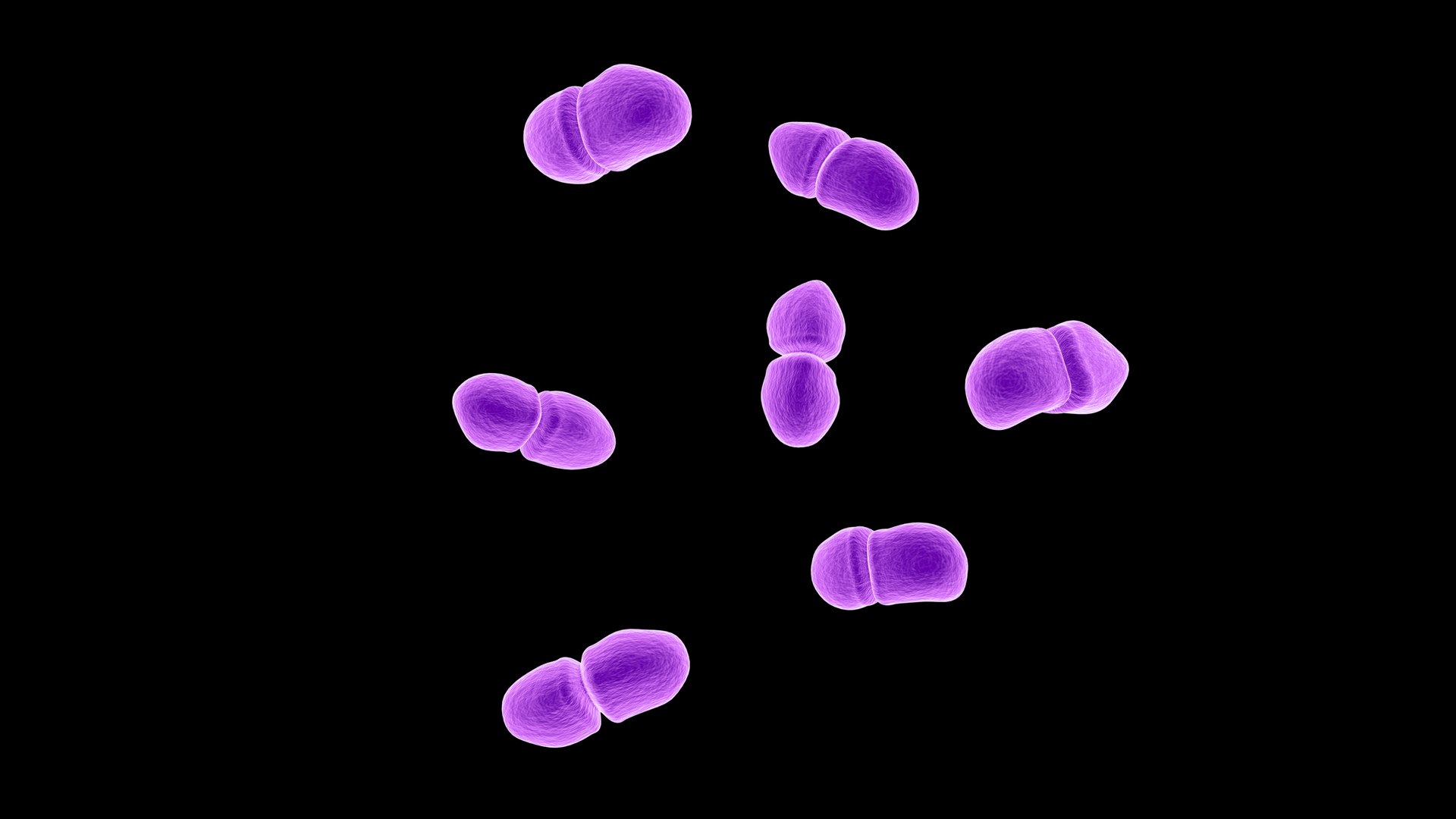 3D Enterococcus https://p.turbosquid.com/ts-thumb/Ru/hjpDyA/MX/1/jpg/1712479724/1920x1080/fit_q87/9e5f6037e32c6f3f6ea64e35705e9797a2fc79e6/1.jpg