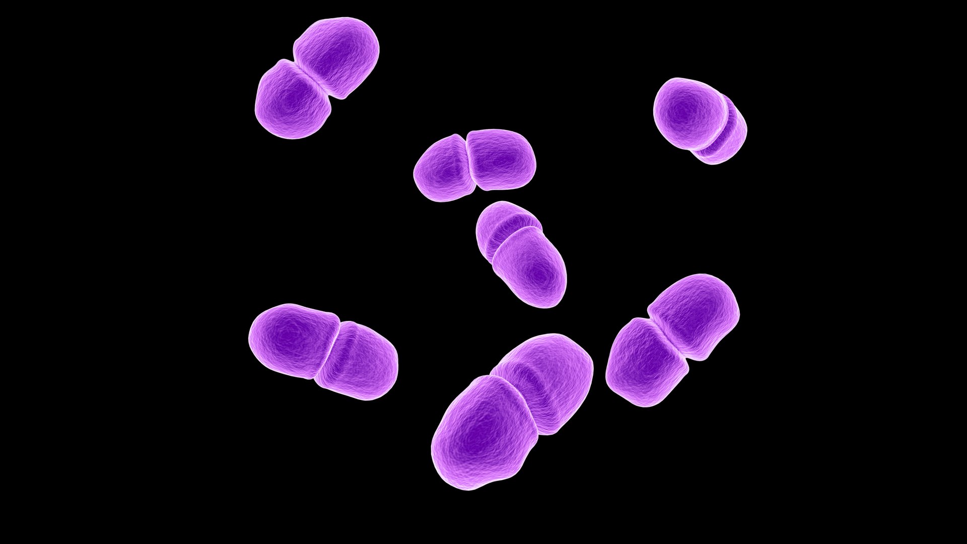 3D Enterococcus https://p.turbosquid.com/ts-thumb/Ru/hjpDyA/Mp/5/jpg/1712479726/1920x1080/fit_q87/16667cf1a822539ca5f57d1eb6d1620cdb238a14/5.jpg