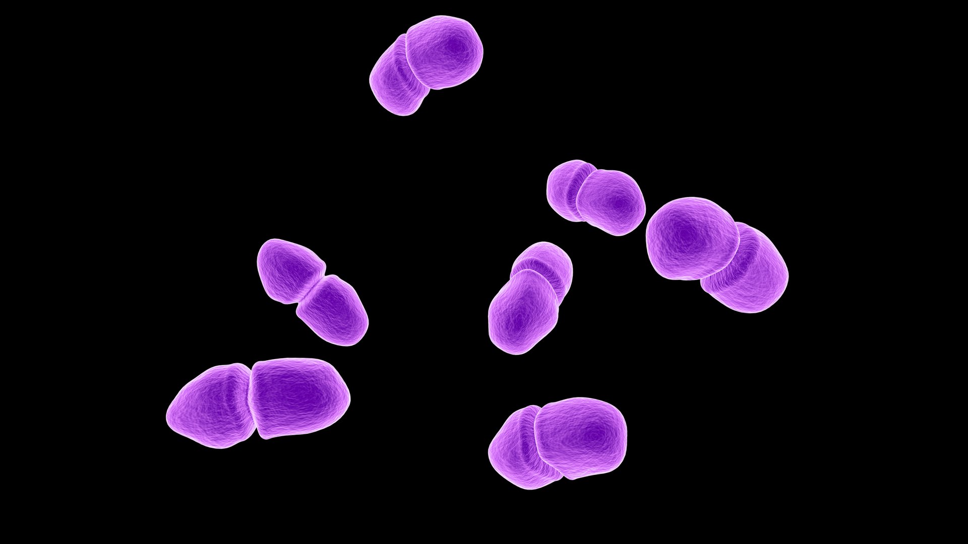 3D Enterococcus https://p.turbosquid.com/ts-thumb/Ru/hjpDyA/Rb/2/jpg/1712479724/1920x1080/fit_q87/6595a39d745d61ca20f6b55d744f64bba4d81bf8/2.jpg