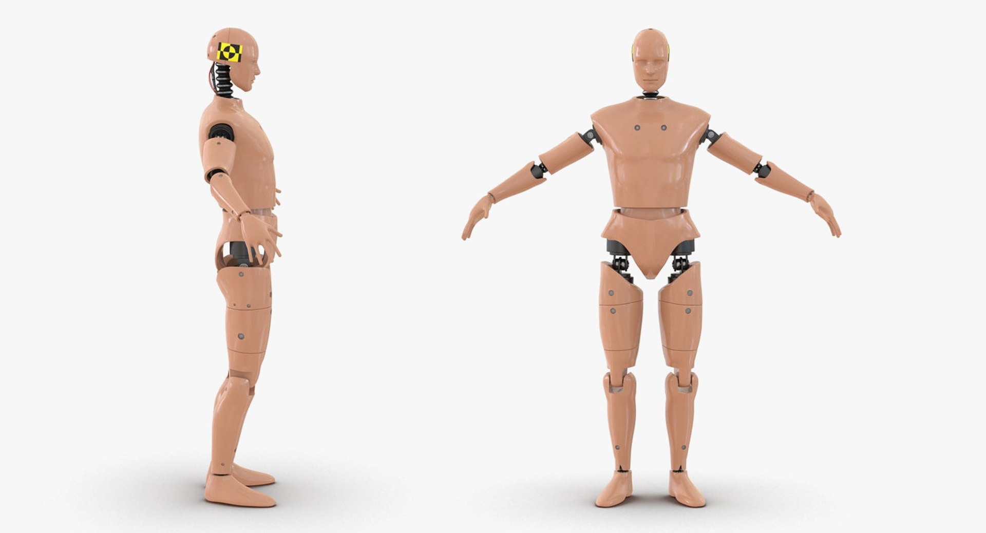 3d Crash Test Dummies 3 Model Turbosquid 1514910