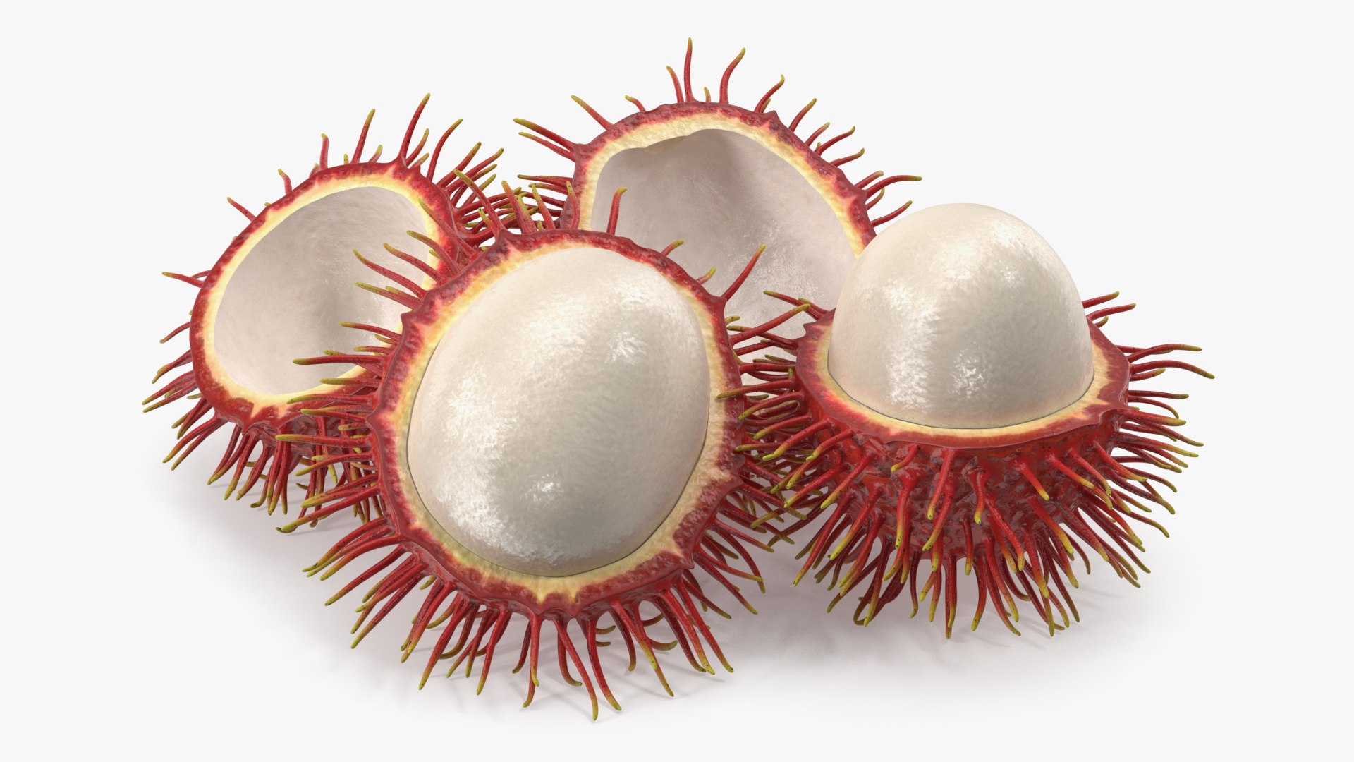 Rambutan Fruit Halves 3D model preview