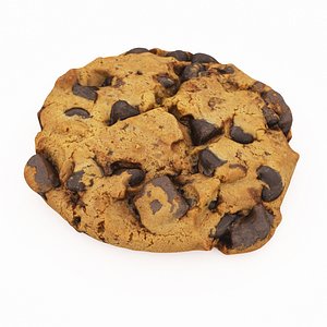 choco cookie 3D model