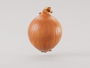 Yellow Onion 3d model