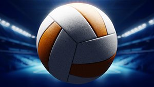 Volleyball 3D