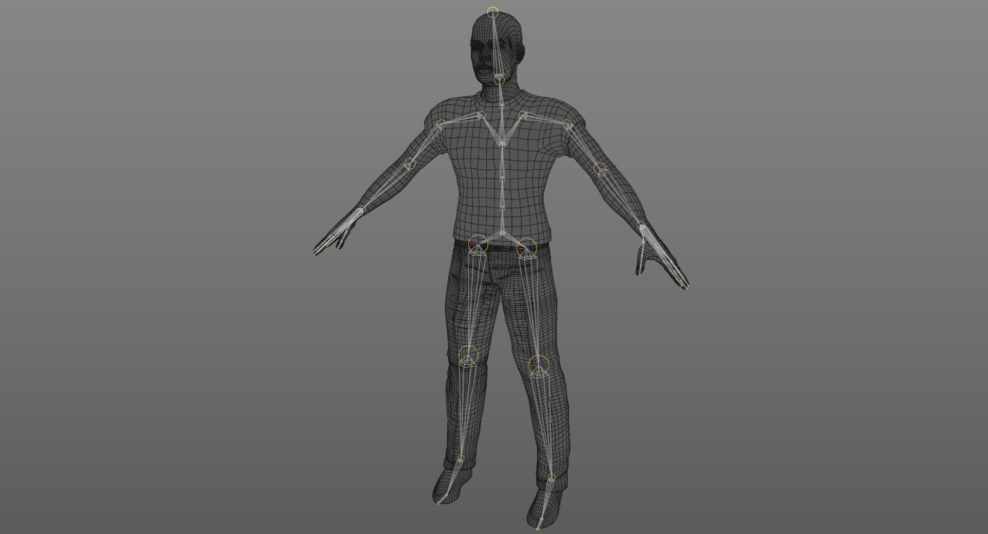 C4d Male Rigged