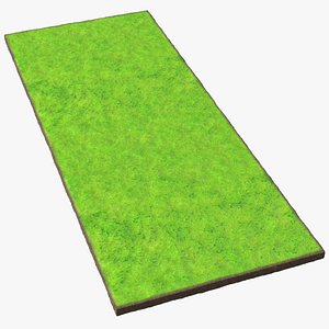 Lawn Turf Roll Unfolded