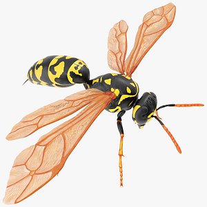 3D paper wasp rigged