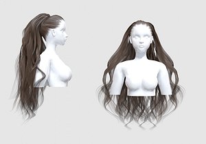 Long Ponytail Hair model
