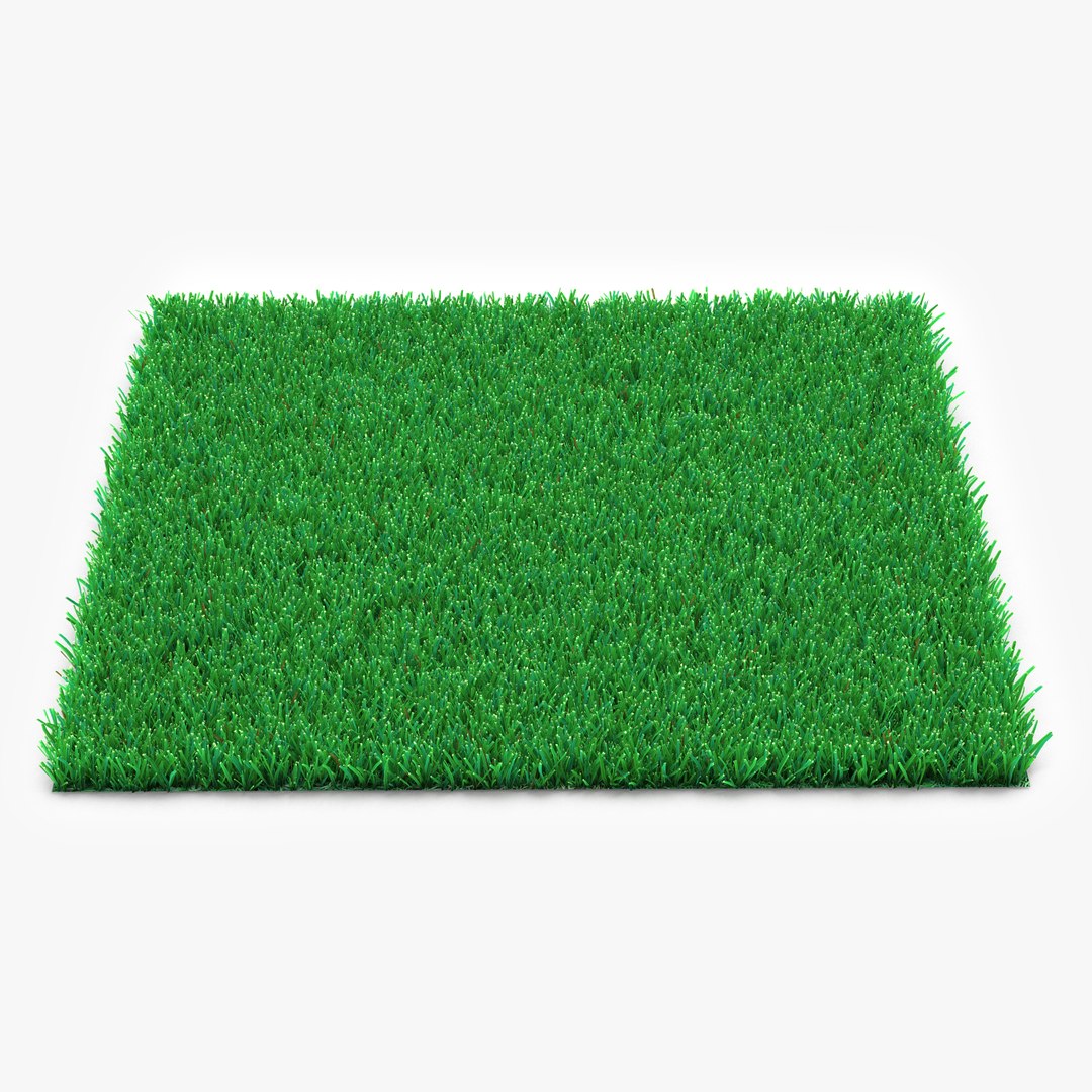 Kentucky Bluegrass Grass 3D model preview